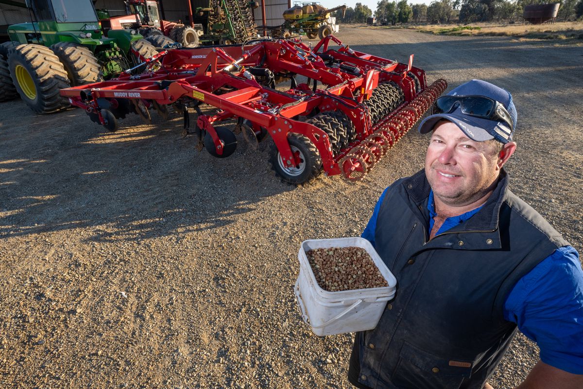 Featured image for “Deep tillage investment helps faba bean expansion”